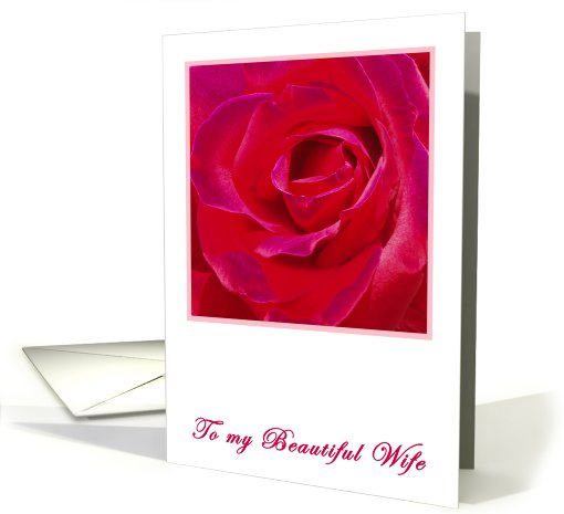 To my Wife card (412899)