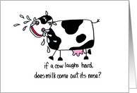 Laughing Cow -...
