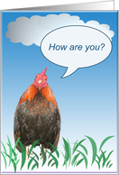 Rooster Card - How...