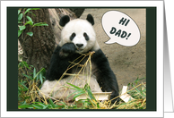 Panda Father's Day...
