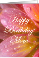 Happy Birthday Mom