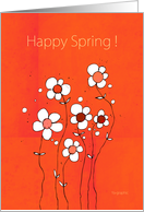 Happy Spring ! - fun...
