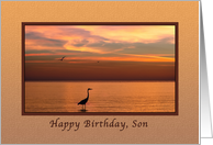 Birthday, Son, Ocean...