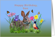 Birthday, Son, Bunny...