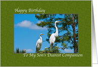 Birthday Card for...