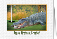 Birthday, Brother,...
