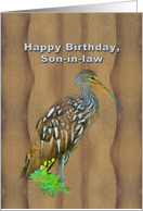 Birthday, Son-in-law...
