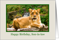 Birthday, Son-in-law...