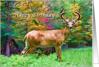 Birthday, Deer in...