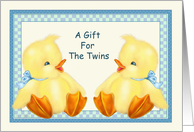 Baby Ducks -Twin...