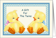 Baby Ducks -Twins...