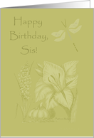 Happy Birthday, Sis!...