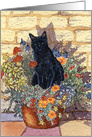 Black cat sitting in the flower pot on a sunny day card