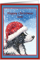 Christmas card, Son,...