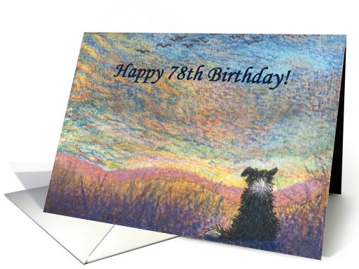 birthday card, border collie, dog, 78, card (567813)