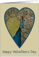 heart peacock card...