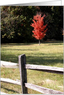 Happy Fall Tree with...