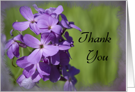 Thank You - Purple...