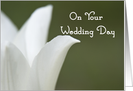 On Your Wedding Day ...