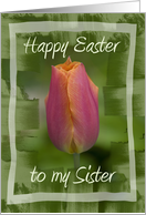 Happy Easter to My...