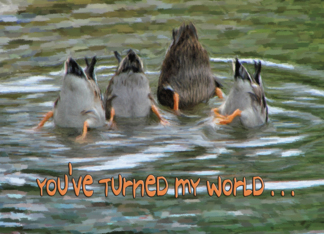 You turned my world...