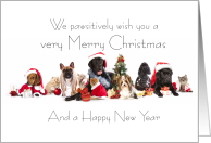 A Pawsitively Merry...