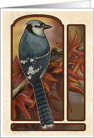 BlueJay in Fall