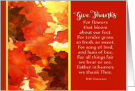Give Thanks, Happy...