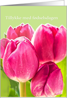happy birthday in Danish,Tillykke med fdselsdagen, pink tulips card