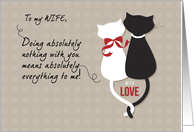Wife Valentines Day Love Cats card