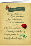 Blessing Red Rose...