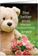Endometriosis...