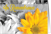 In Remembrance on...