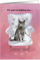 Valentine from Cat...