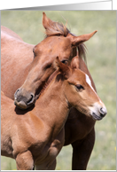 Horse hug