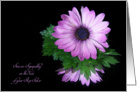 Loss of step sister sympathy-purple daisy reflection on black card