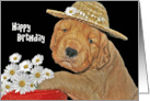 Happy Birthday Golden Retriever with Daisy Basket card