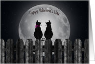 Valentine cats...