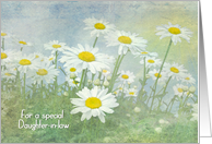 Field Daisies with...