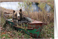 bear in rusty row...