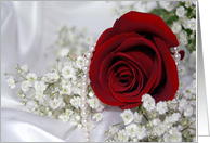 Wedding red rose...