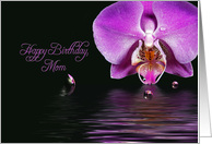 Birthday For Mom,...