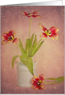 Tulip bouquet with...