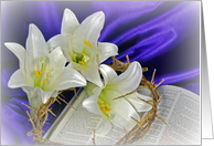 Easter lilies with...