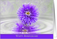 Anniversary purple...