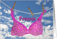 Friendship pink bra...
