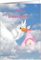 new granddaughter...