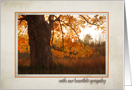 Autumn Oak Tree Loss...