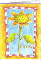 Growing Sunflower