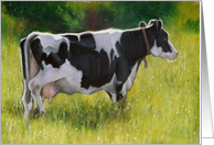 Holstein Cow in...